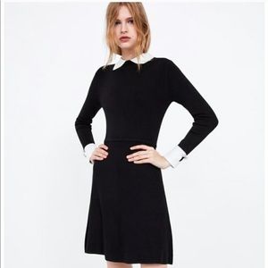 Knit black collared dress